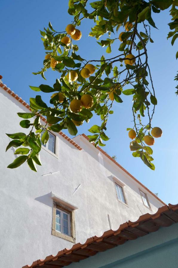 Proa D'Alfama Guest House Lisbon Exterior photo
